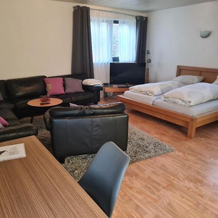 Apartment Zum Wohlfuehlen In Ruhiger Lage Pfungstadt Extérieur photo
