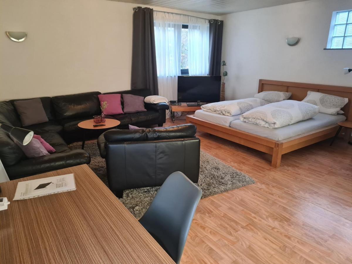 Apartment Zum Wohlfuehlen In Ruhiger Lage Pfungstadt Extérieur photo